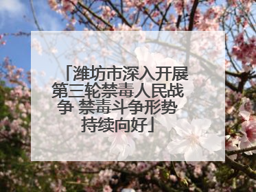 潍坊市深入开展第三轮禁毒人民战争 禁毒斗争形势持续向好
