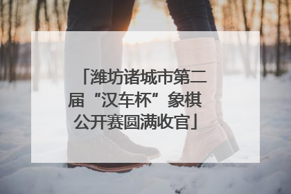 潍坊诸城市第二届“汉车杯”象棋公开赛圆满收官