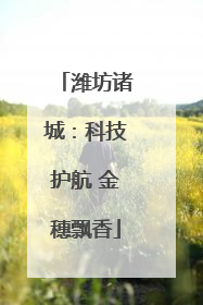 潍坊诸城：科技护航 金穗飘香