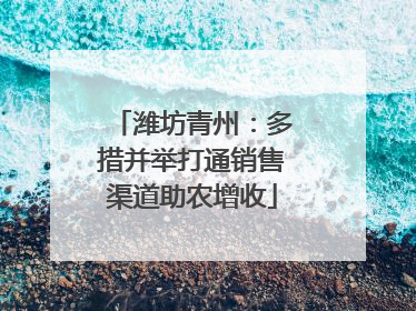 潍坊青州：多措并举打通销售渠道助农增收