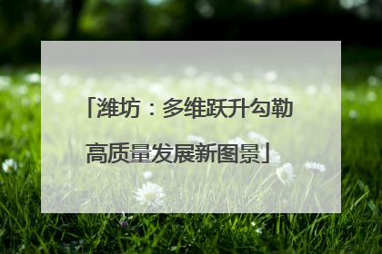 潍坊：多维跃升勾勒高质量发展新图景