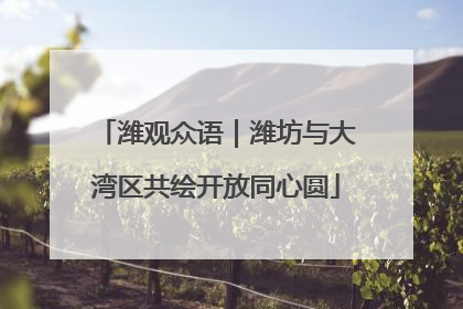 潍观众语｜潍坊与大湾区共绘开放同心圆