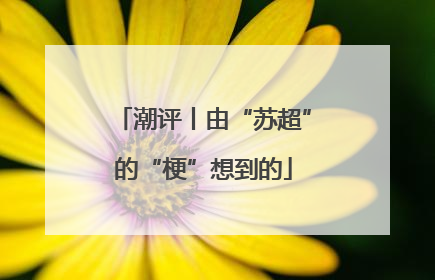 潮评丨由“苏超”的“梗”想到的