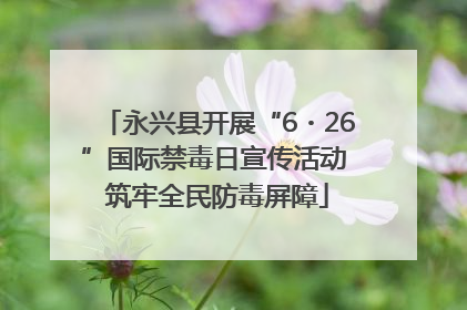 永兴县开展“6・26”国际禁毒日宣传活动 筑牢全民防毒屏障