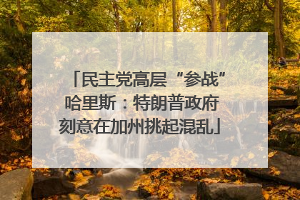 民主党高层“参战” 哈里斯：特朗普政府刻意在加州挑起混乱