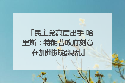 民主党高层出手 哈里斯：特朗普政府刻意在加州挑起混乱