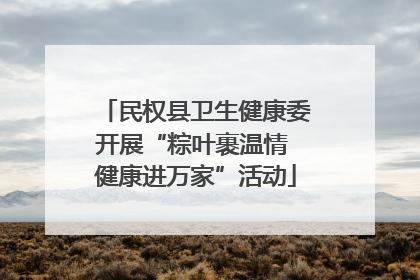 民权县卫生健康委开展“粽叶裹温情 健康进万家”活动