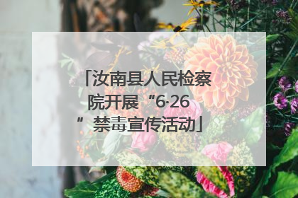 汝南县人民检察院开展“6·26”禁毒宣传活动