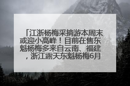 江浙杨梅采摘游本周末或迎小高峰！目前在售东魁杨梅多来自云南、福建，浙江露天东魁杨梅6月中旬大量上市