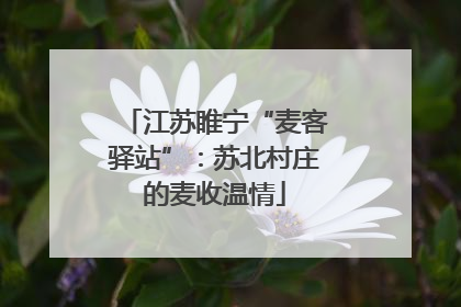 江苏睢宁“麦客驿站”：苏北村庄的麦收温情