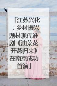 江苏兴化：乡村振兴题材现代淮剧《油菜花开燕归来》在南京成功首演