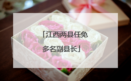 江西两县任免多名副县长