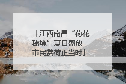 江西南昌“荷花秘境”夏日盛放 市民赏荷正当时