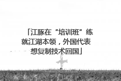 江豚在“培训班”练就江湖本领，外国代表想复制技术回国