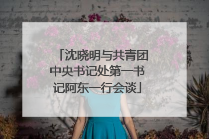 沈晓明与共青团中央书记处第一书记阿东一行会谈