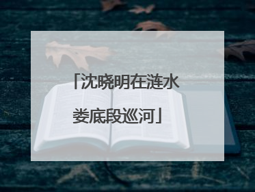 沈晓明在涟水娄底段巡河