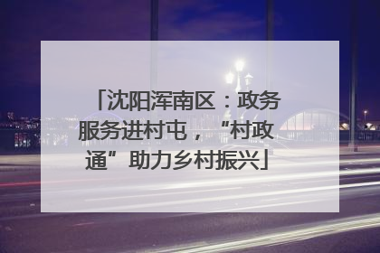 沈阳浑南区：政务服务进村屯，“村政通”助力乡村振兴