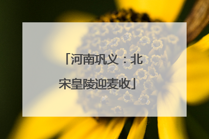 河南巩义：北宋皇陵迎麦收