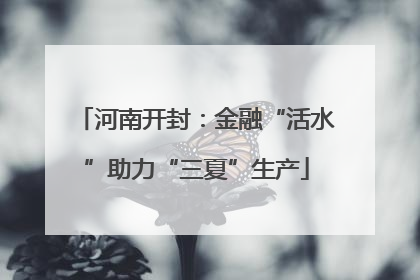 河南开封：金融“活水”助力“三夏”生产