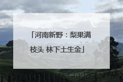 河南新野：梨果满枝头 林下土生金