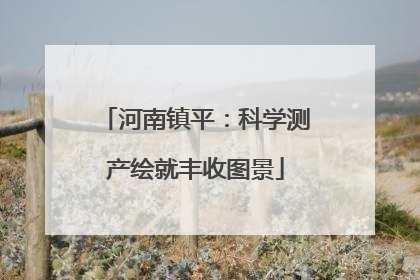 河南镇平：科学测产绘就丰收图景