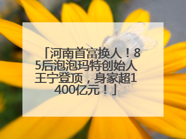 河南首富换人！85后泡泡玛特创始人王宁登顶，身家超1400亿元！