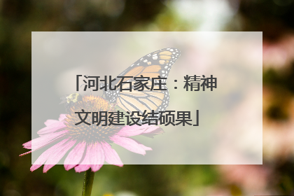 河北石家庄：精神文明建设结硕果