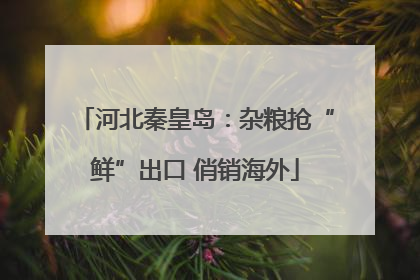 河北秦皇岛：杂粮抢“鲜”出口 俏销海外