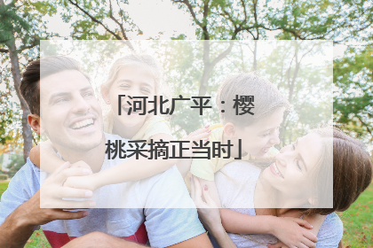 河北广平：樱桃采摘正当时