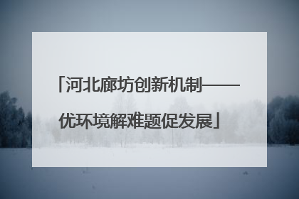 河北廊坊创新机制——优环境解难题促发展