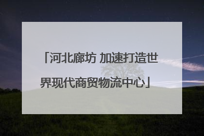 河北廊坊 加速打造世界现代商贸物流中心