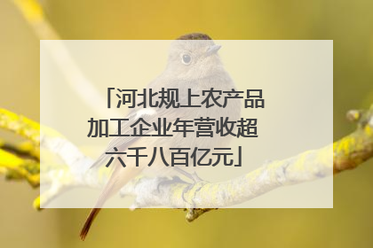 河北规上农产品加工企业年营收超六千八百亿元