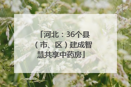 河北：36个县（市、区）建成智慧共享中药房