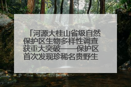 河源大桂山省级自然保护区生物多样性调查获重大突破——保护区首次发现珍稀名贵野生干巴菌与钝尾两头蛇