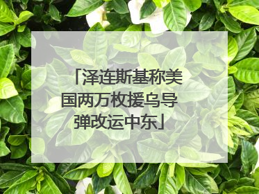 泽连斯基称美国两万枚援乌导弹改运中东