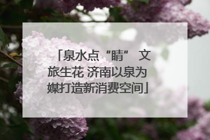 泉水点“睛” 文旅生花 济南以泉为媒打造新消费空间