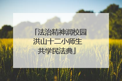 法治精神润校园 洪山十二小师生共学民法典