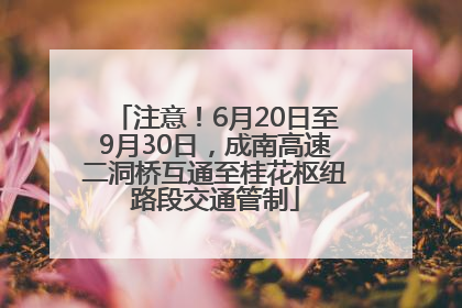注意！6月20日至9月30日，成南高速二洞桥互通至桂花枢纽路段交通管制