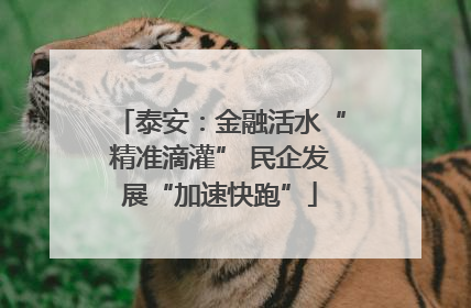 泰安：金融活水“精准滴灌” 民企发展“加速快跑”
