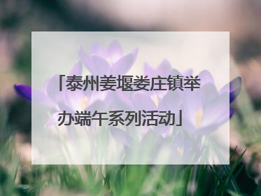 泰州姜堰娄庄镇举办端午系列活动