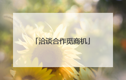 洽谈合作觅商机
