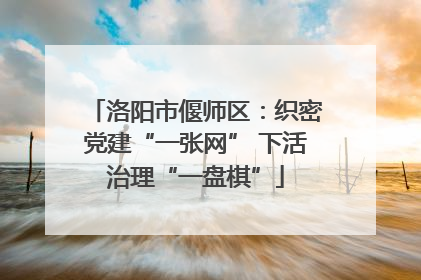 洛阳市偃师区：织密党建“一张网” 下活治理“一盘棋”