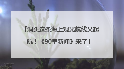 洞头这条海上观光航线又起航！《90早新闻》来了