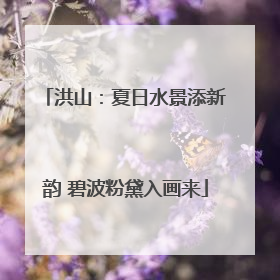 洪山：夏日水景添新韵 碧波粉黛入画来