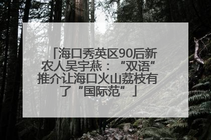 海口秀英区90后新农人吴宇燕：“双语”推介让海口火山荔枝有了“国际范”