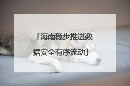 海南稳步推进数据安全有序流动