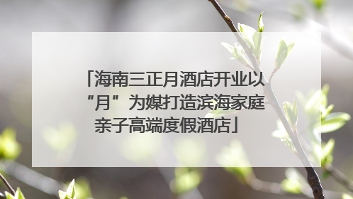 海南三正月酒店开业以“月”为媒打造滨海家庭亲子高端度假酒店