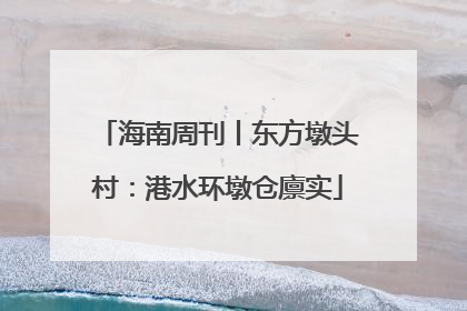 海南周刊丨东方墩头村：港水环墩仓廪实