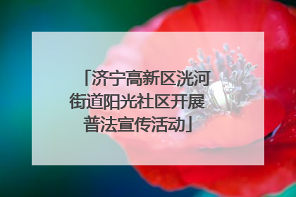 济宁高新区洸河街道阳光社区开展普法宣传活动