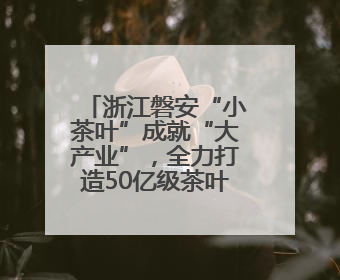 浙江磐安“小茶叶”成就“大产业”，全力打造50亿级茶叶全产业链